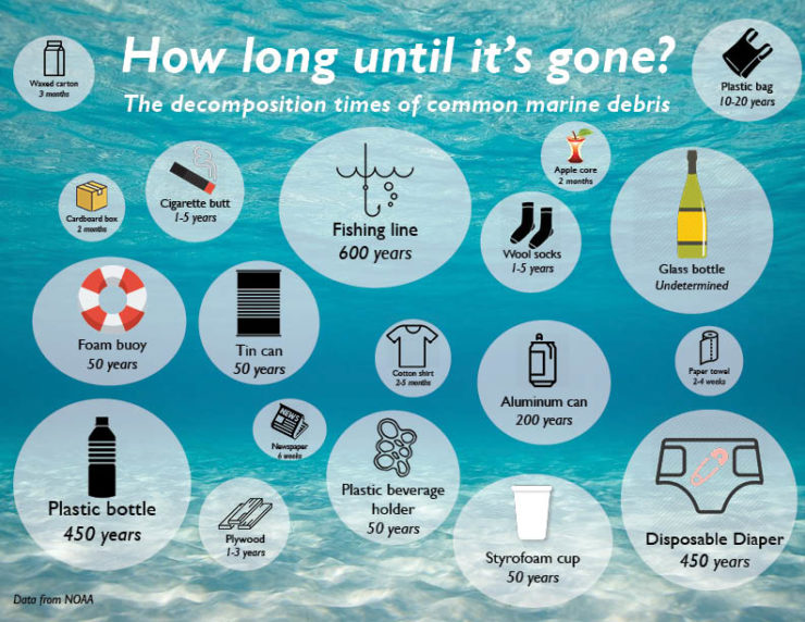 How Long Does It Take For Gum To Biodegrade Biodegradable Plastic: The Awful Reality