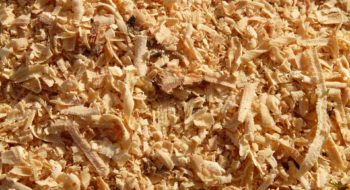 sawdust ready for wood pulp