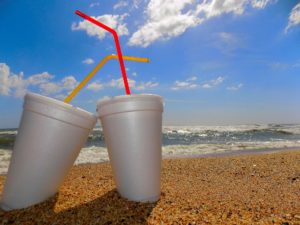 Put Down that Styrofoam Cup! Dangers of Polystyrene