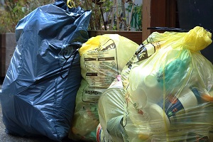 Recycling Bags: What's The Bloody Point?