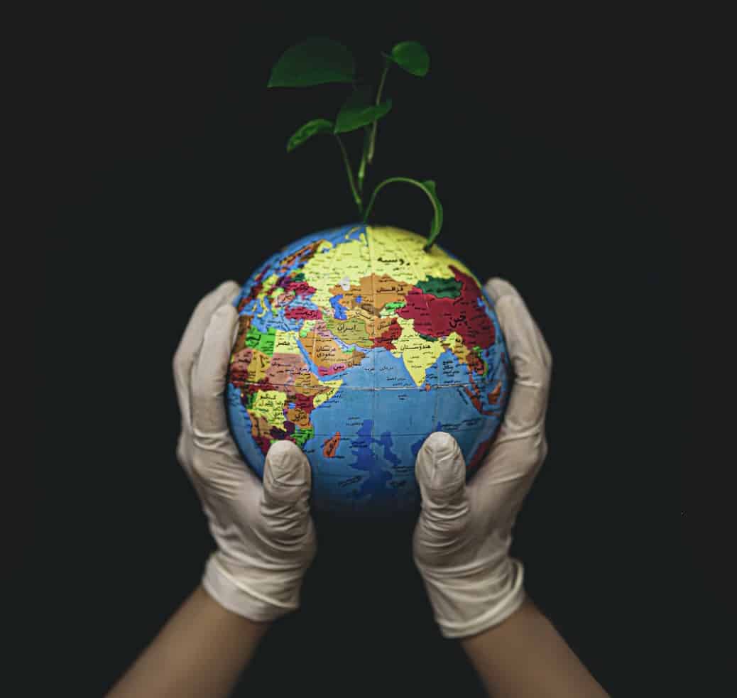 The Eco-Conscious Customer: What Companies Should Know