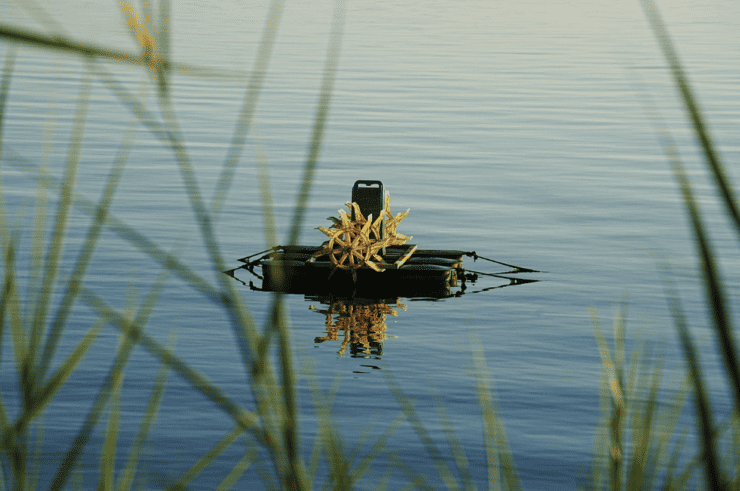 Aquatic-Ecosystems