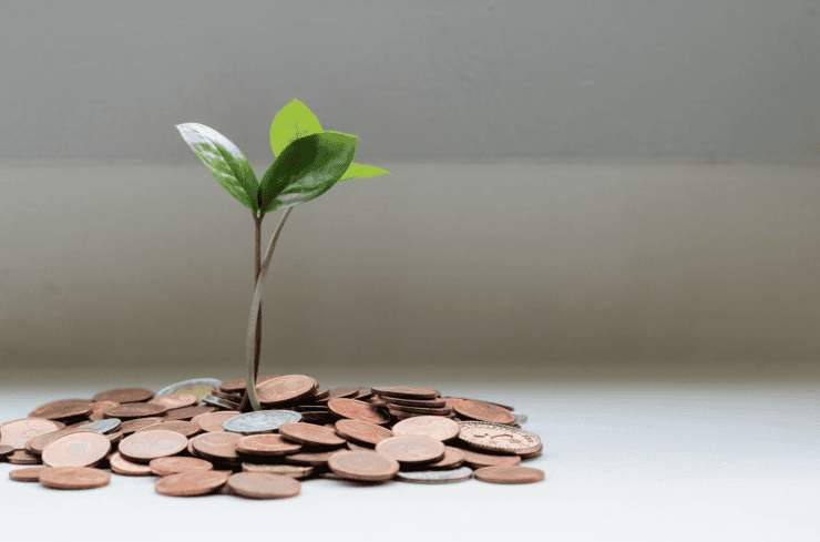 Invest-in-Sustainability